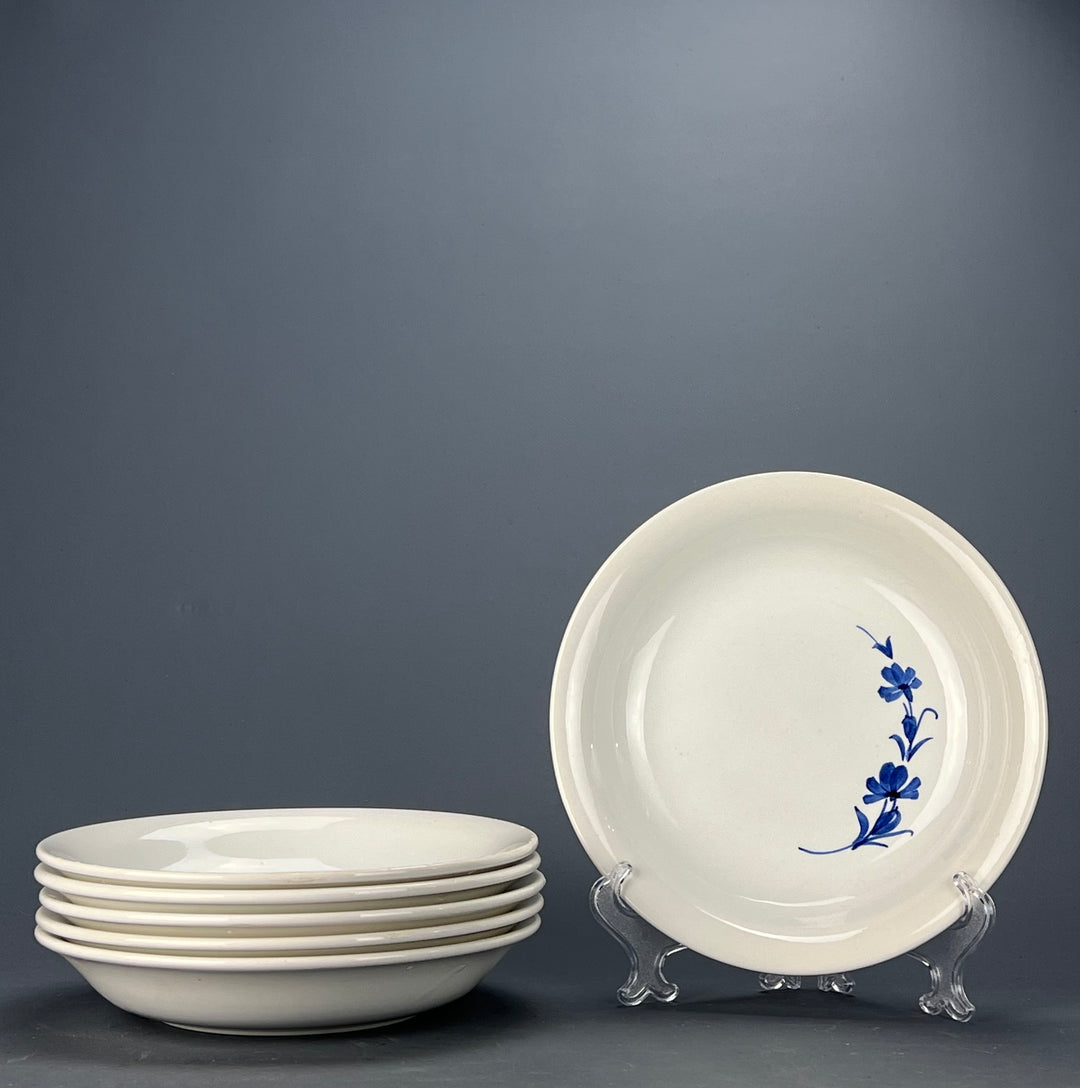 Set dodici piatti fondi ceramica Ironstone