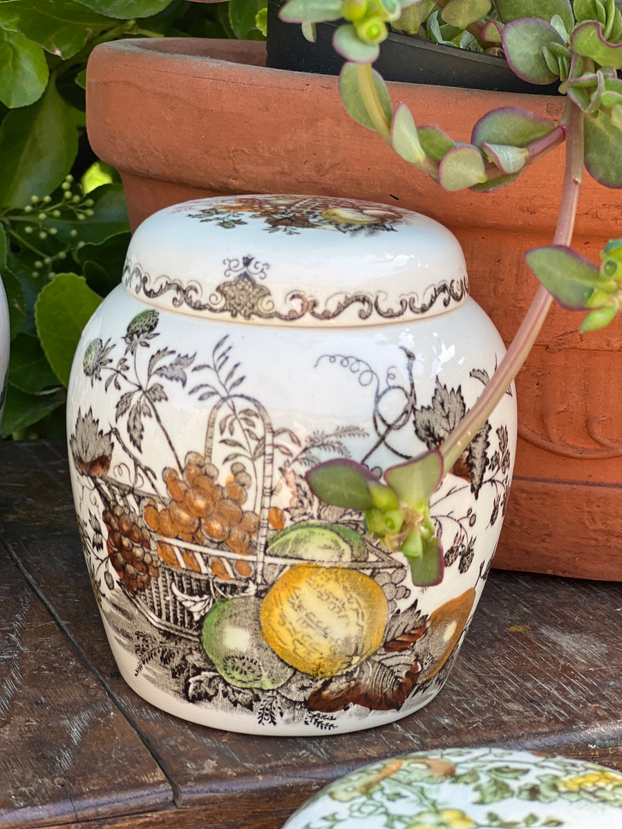 Splendido Ginger Jar realizzato dal marchio inglese Mason's Ironstone con decoro marrone "Fruit Basket".  Da aggiungere alla vostra collezione o da utilizzare all'interno della vostra cucina come portaspezie.  Diametro 9,5 cm Altezza 10,5 cm&nbsp;