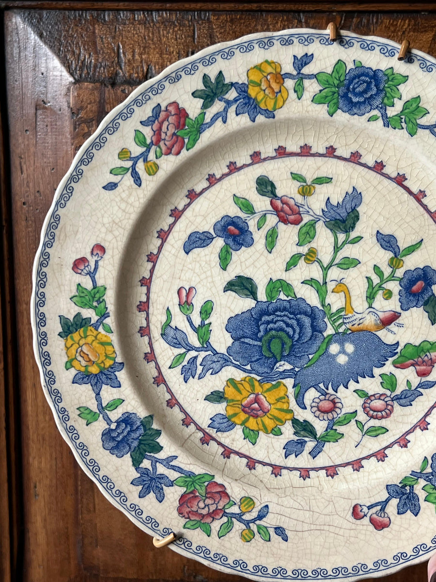 Piatto in ceramica firmato Mason's con decoro Regency caratterizzato da un intricato disegno floreale multicolore, arricchito da dettagli botanici che conferiscono un tocco di eleganza senza tempo. Realizzato con una superficie leggermente craquelé, il piatto emana un carattere vintage che lo rende ideale per chi ama oggetti dal fascino antico.

Diametro 20,5 cm&nbsp;