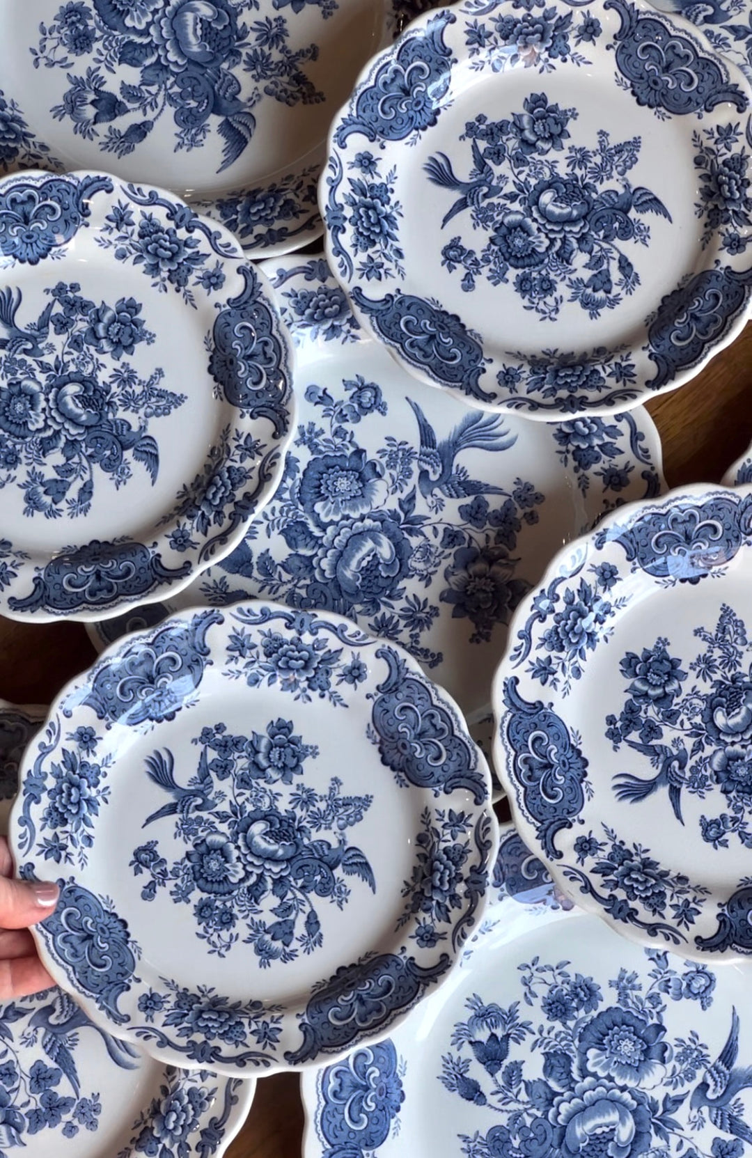 Bellissimo Set di piatti dal realizzato in ceramica dal marchio inglese Ridgway nella seconda metà del novecento. Decorato con il celebre motivo Windsor, un delizioso disegno con fiori, foglie e uccelli di colore blu. Il set è composto da sei piatti piani e sei piattini da dolce.

Alcuni piatti presentano craquele.

Diametro piatto piano 25 cm&nbsp;

Diametro piattino dolce 20 cm&nbsp;
